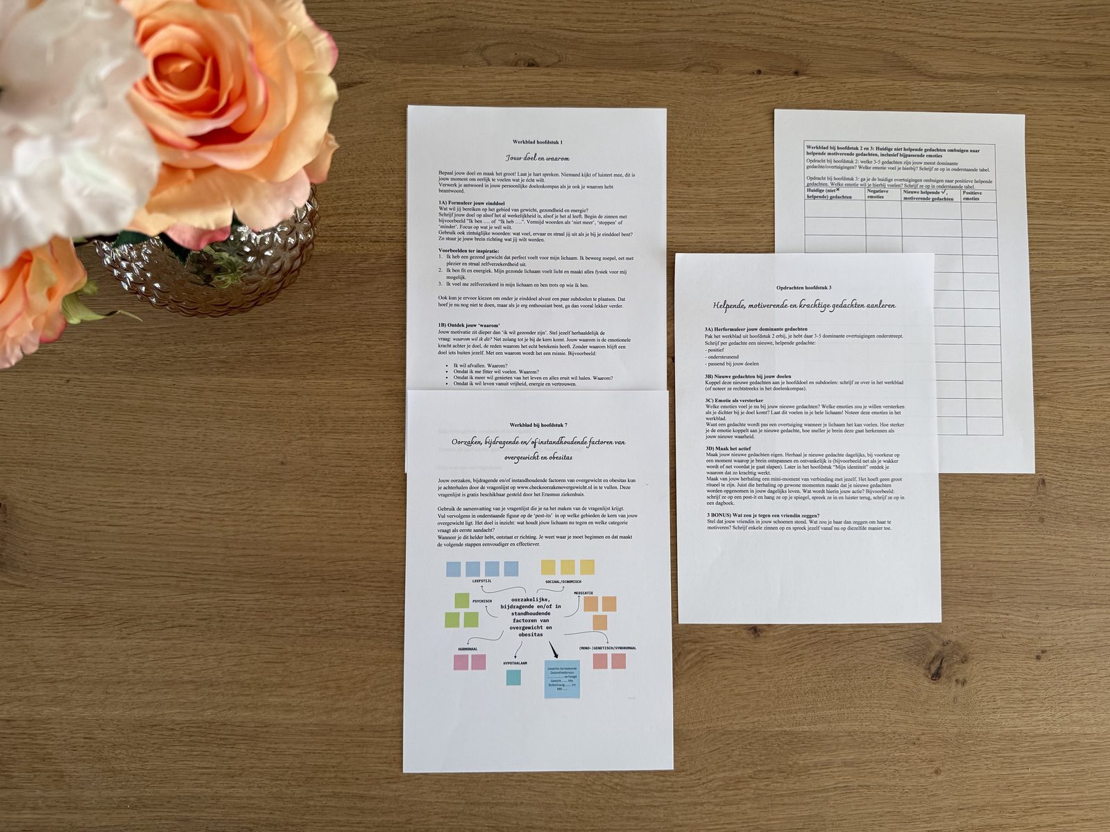 Werkbladen en doelenkompas van de online cursus